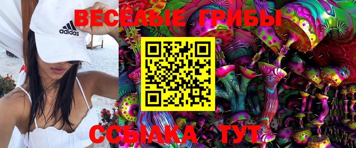Галлюциногенные грибы Psilocybine cubensis  Вход с VPN  Бор 