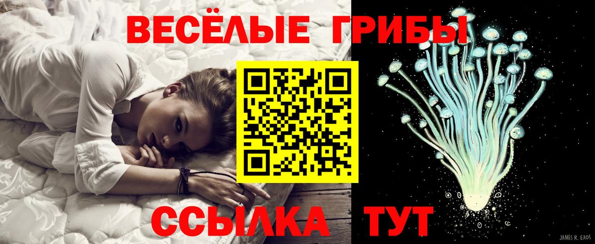 Псилоцибиновые грибы GOLDEN TEACHER Бор